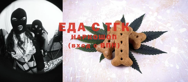стаф Инта
