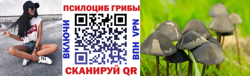 Псилоцибиновые грибы ЛСД  Старая Купавна 
